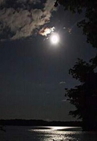 شب مورد بحث